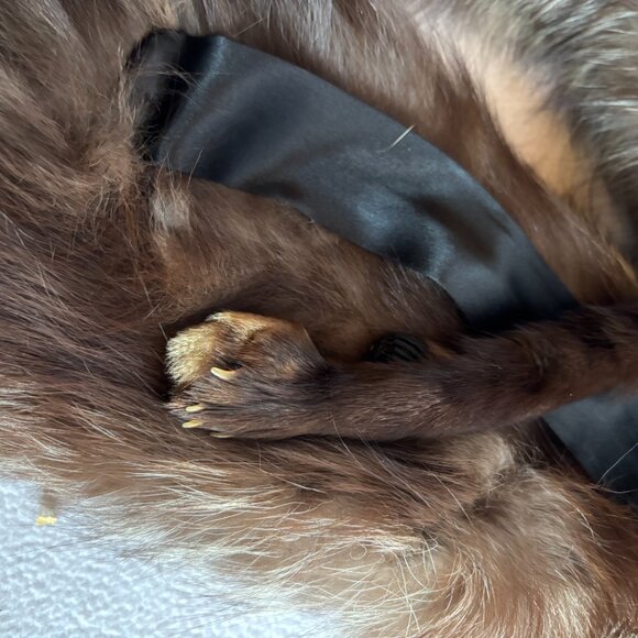 1940s 1950s Double Fox Fur Wrap Full Pelts - Picture 13 of 13